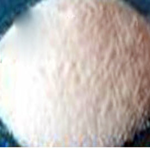 ձPVDF W#9300()